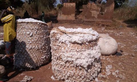 LES ACTIVITÉS DE PESAGE ET DES PARCELLES DE COTON ONT ÉTÉ VISITÉES PAR DES INVESTISSEURS TURCS